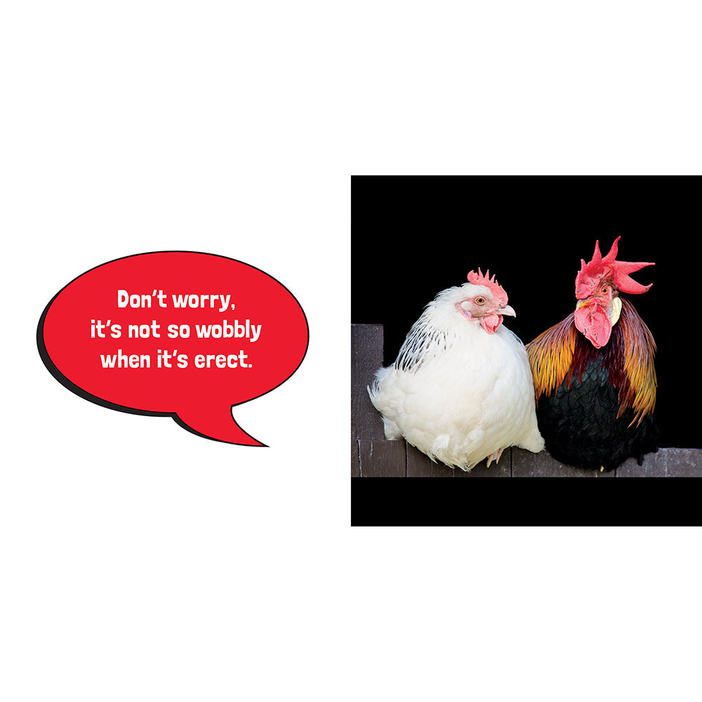 BIG COCKS: HILARIOUS SNAPS OF PROMINENT POULTRY