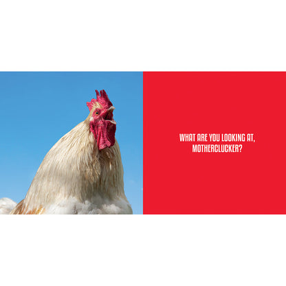 BIG COCKS: HILARIOUS SNAPS OF PROMINENT POULTRY