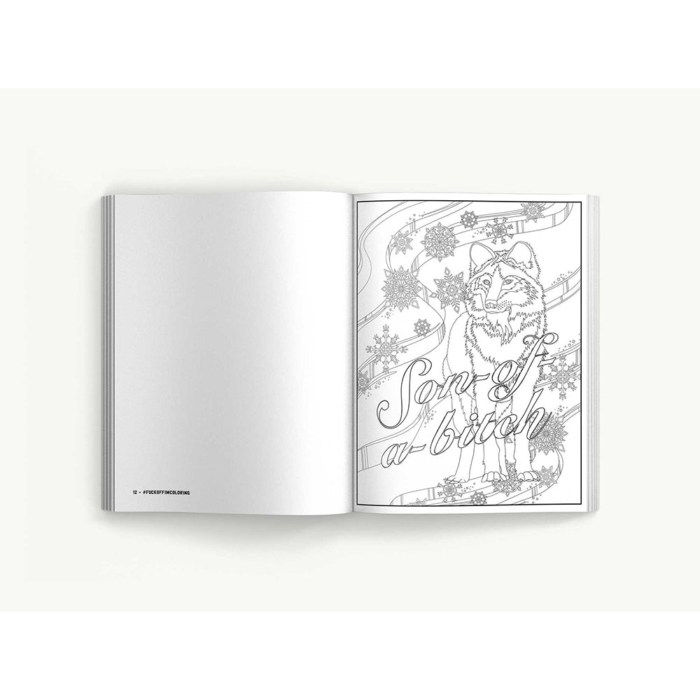 FUCK OFF, I''M STILL COLORING BOOK