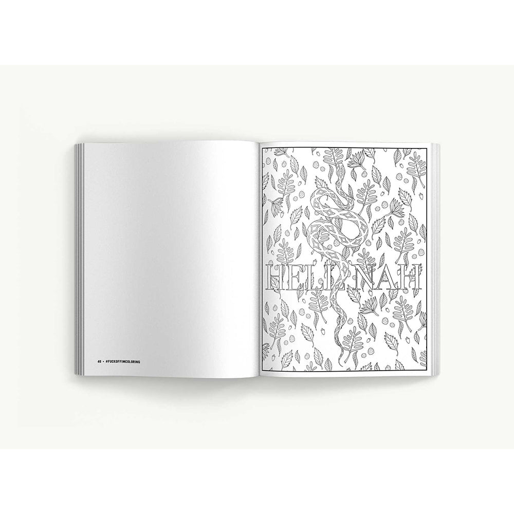 FUCK OFF, I''M STILL COLORING BOOK