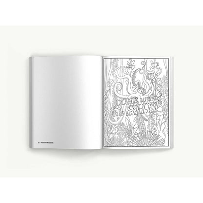 FUCK OFF, I''M STILL COLORING BOOK