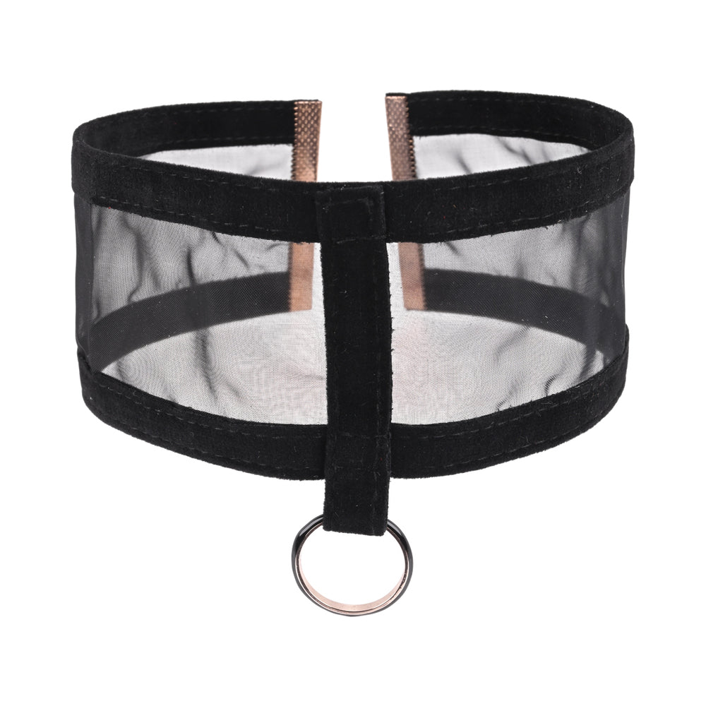 SPORTSHEETS SEX & MISCHIEF SHEER DAY COLLAR