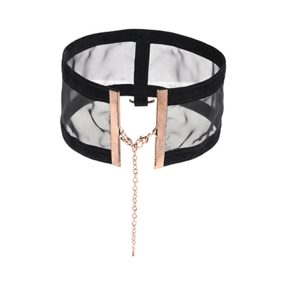 SPORTSHEETS SEX & MISCHIEF SHEER DAY COLLAR