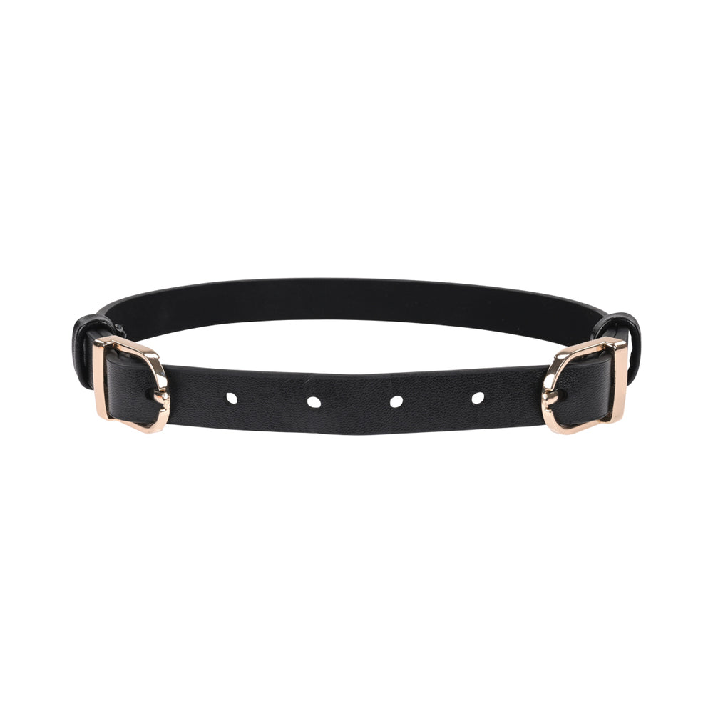 SPORTSHEETS SEX & MISCHIEF DOUBLE BUCKLE DAY COLLAR