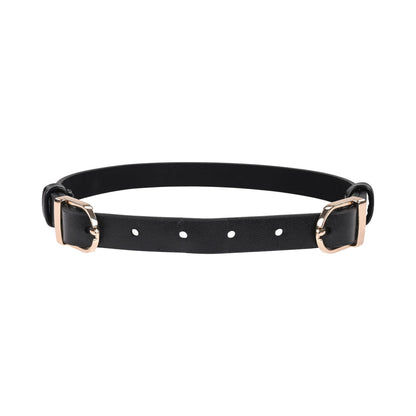 SPORTSHEETS SEX & MISCHIEF DOUBLE BUCKLE DAY COLLAR