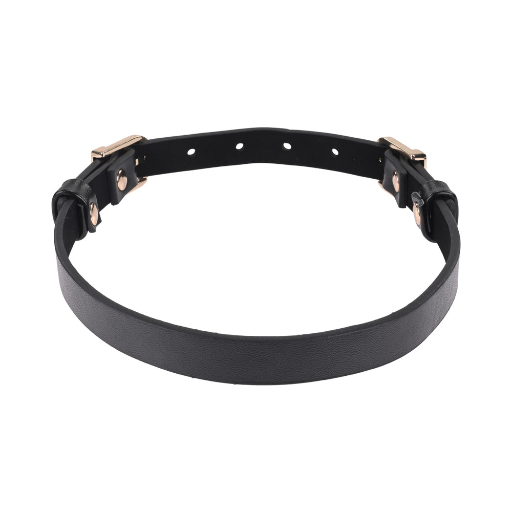 SPORTSHEETS SEX & MISCHIEF DOUBLE BUCKLE DAY COLLAR