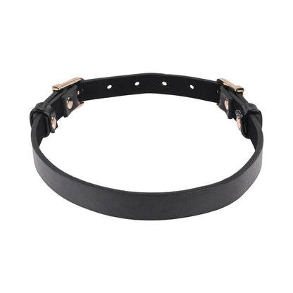 SPORTSHEETS SEX & MISCHIEF DOUBLE BUCKLE DAY COLLAR