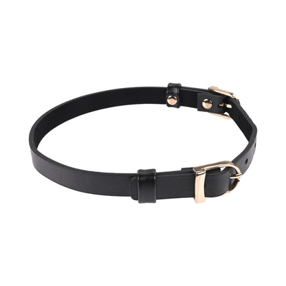 SPORTSHEETS SEX & MISCHIEF DOUBLE BUCKLE DAY COLLAR