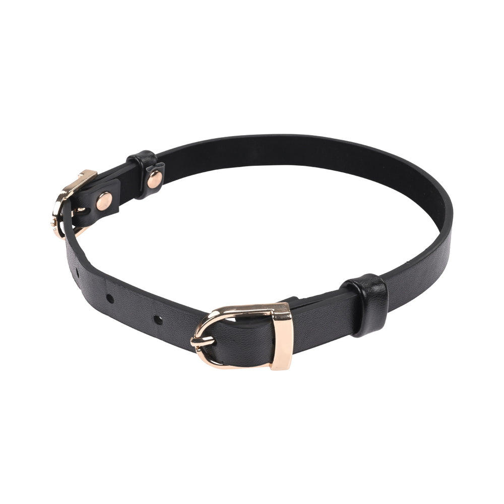 SPORTSHEETS SEX & MISCHIEF DOUBLE BUCKLE DAY COLLAR