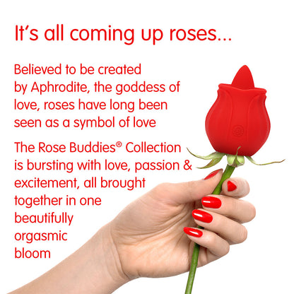 CREATIVE CONCEPTIONS - SKINS ROSE BUDDIES THE ROSE LIX