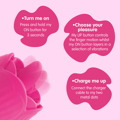 CREATIVE CONCEPTIONS - SKINS ROSE BUDDIES THE ROSE FLIX