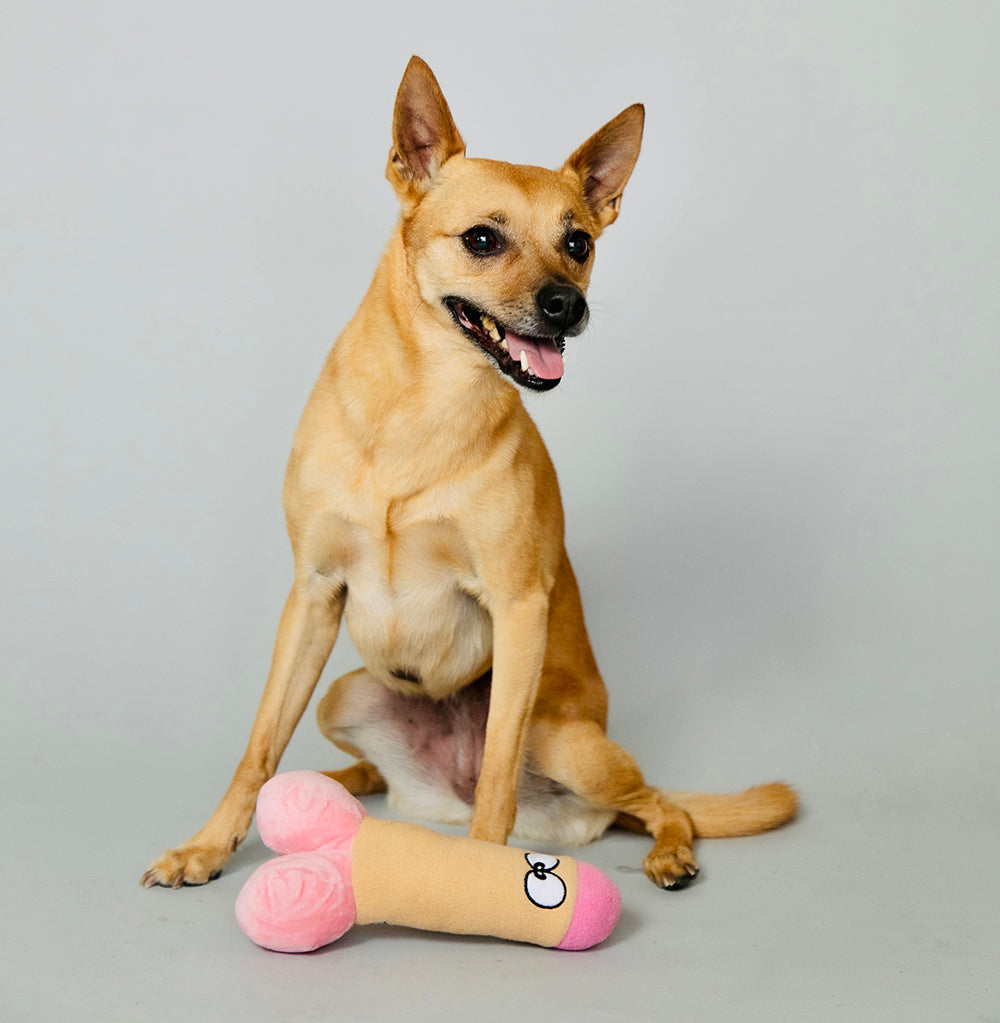 SCRUFFY PETER WOOFINGTON