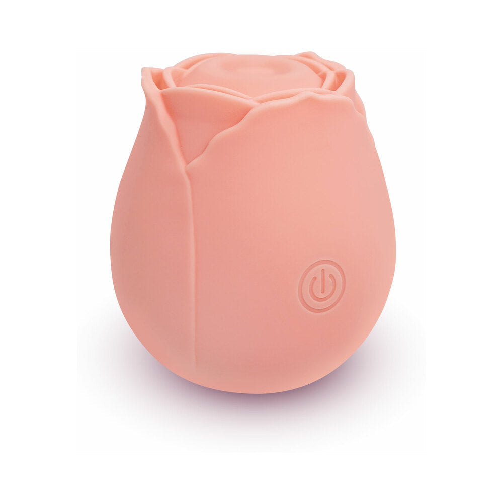 SKINS ROSE BUDDIES THE ROSE PURRZ