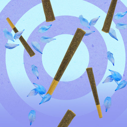 NUUD NUUDIES PRE-ROLLED SEX JOINTS SINGLE BLUE LOTUS 12-PIECE DISPLAY