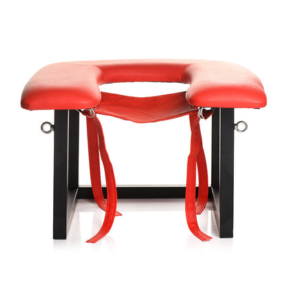 XR BRANDS - SERIE MAESTRA SILLA ECUESTRE QUEEN CON ARNES