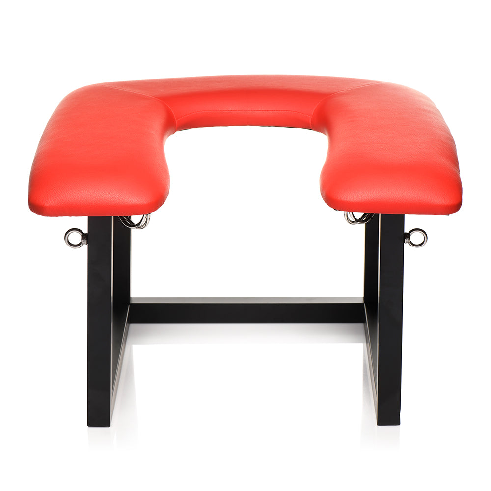 XR BRANDS - SERIE MAESTRA SILLA ECUESTRE QUEEN CON ARNES