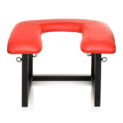 XR BRANDS - SERIE MAESTRA SILLA ECUESTRE QUEEN CON ARNES