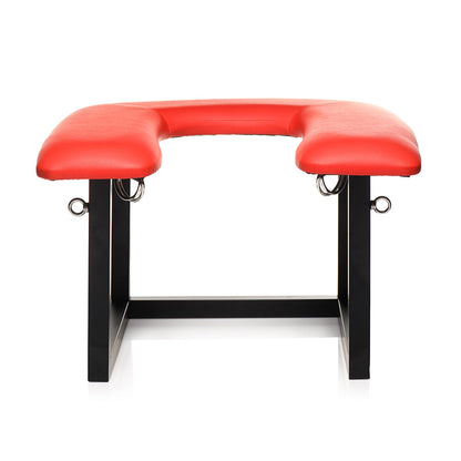 XR BRANDS - SERIE MAESTRA SILLA ECUESTRE QUEEN CON ARNES