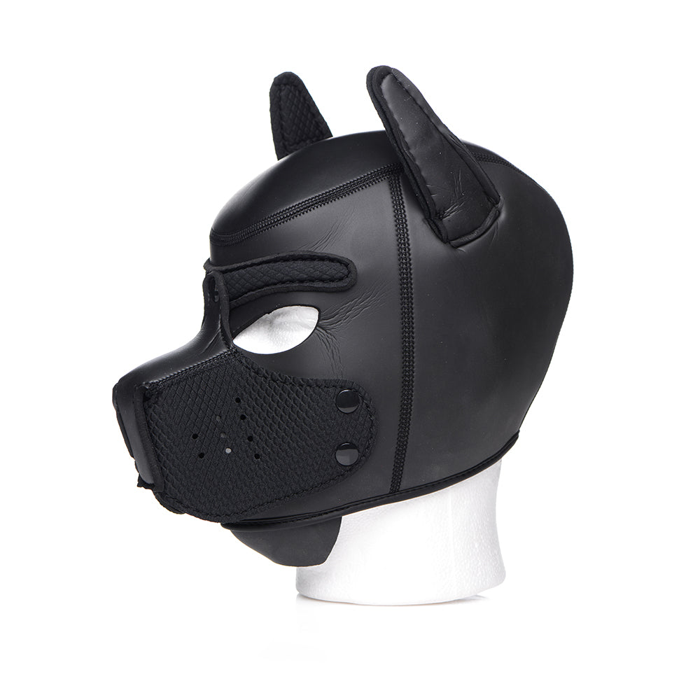 MASTER SERIES SPIKE NEOPRENE PUPPY HOOD BLACK
