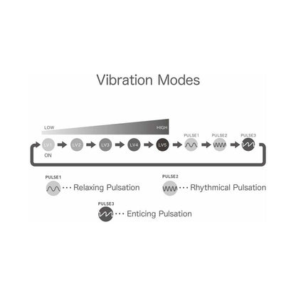 IROHA+ KUSHI RENEWAL