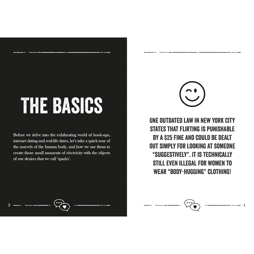 THE LITTLE BOOK OF FLIRTING