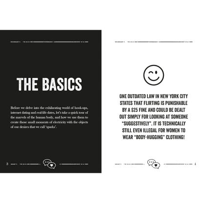 THE LITTLE BOOK OF FLIRTING