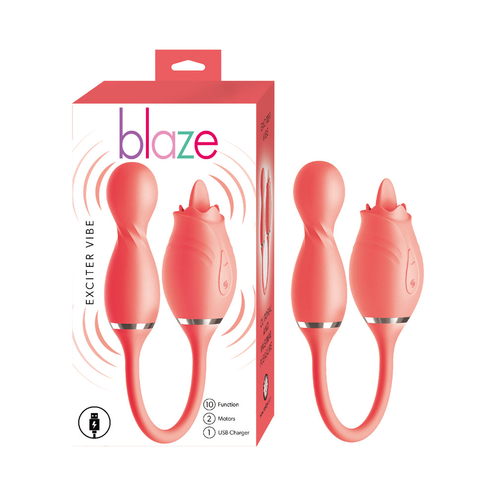 NASSTOYS - BLAZE EXCITER VIBE