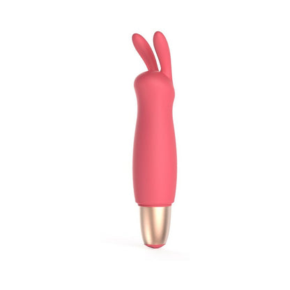 ADAM & EVE - PLAYFUL SEDUCTION KIT