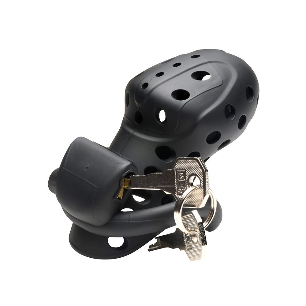 MASTER SERIES LOCK DOWN CHASTITY CAGE