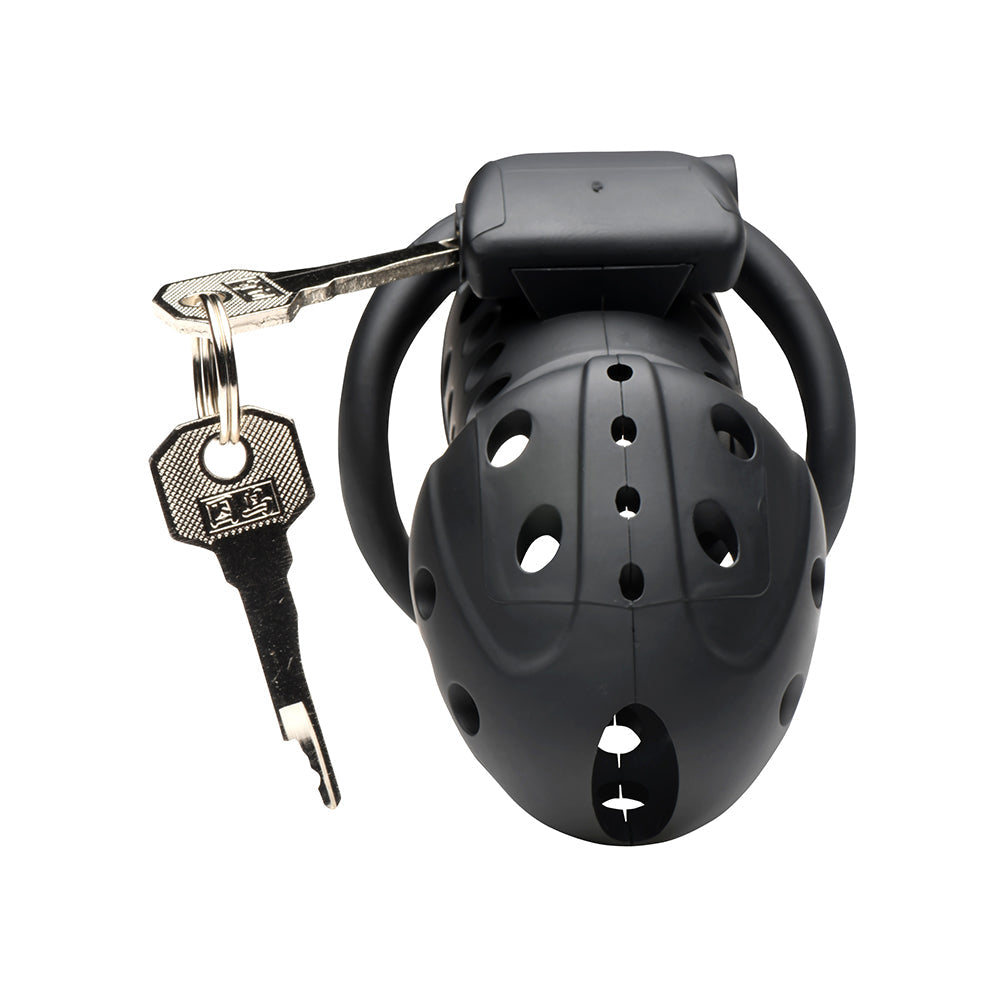 MASTER SERIES LOCK DOWN CHASTITY CAGE