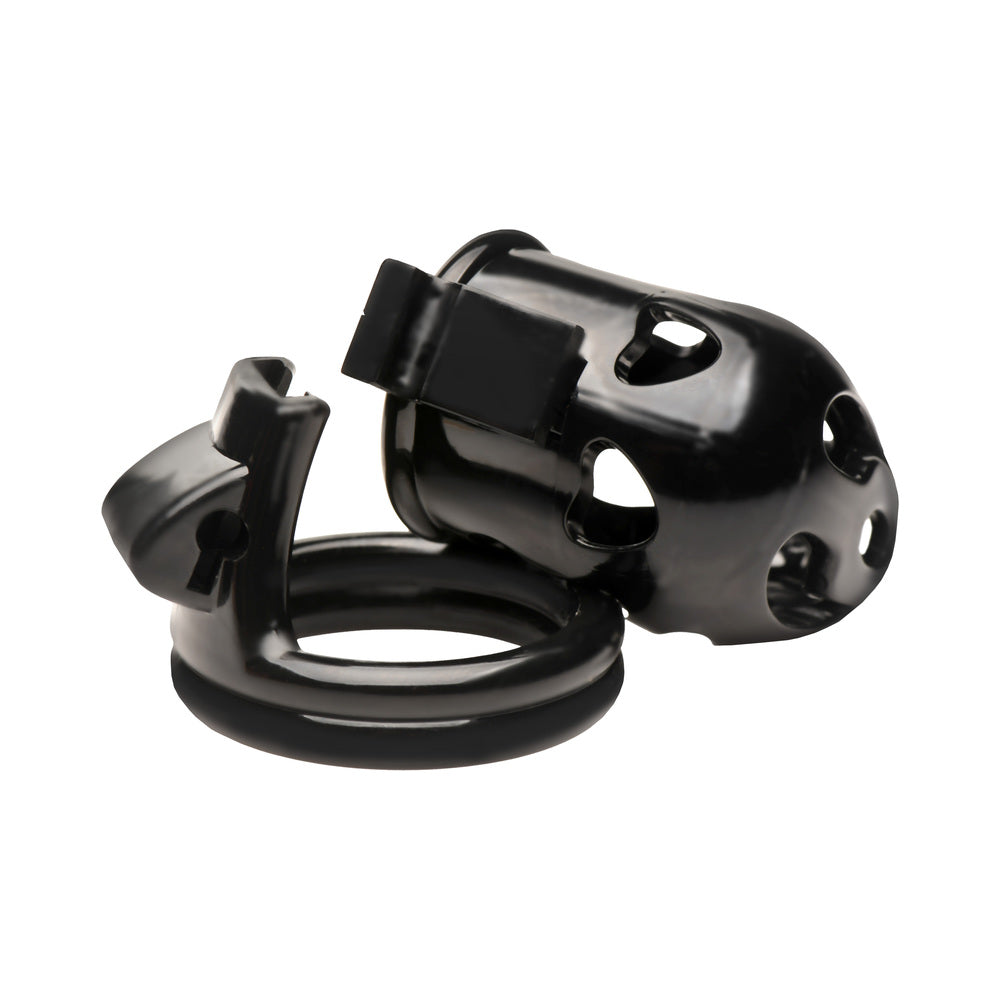 MASTER SERIES DOUBLE RING CHASTITY CAGE