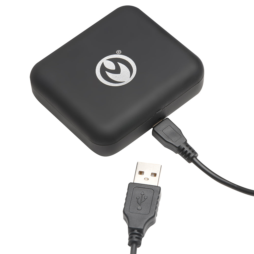 MASTER SERIES VIBRATING NIPPLE CLAMPS WITH RECHARGEABLE CASE