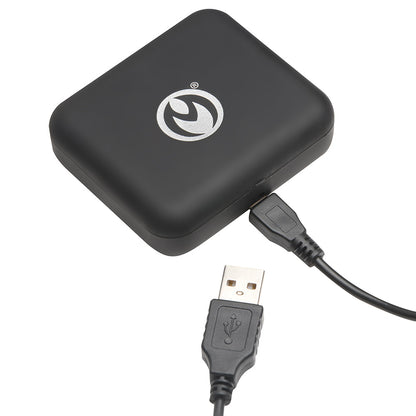 MASTER SERIES VIBRATING NIPPLE CLAMPS WITH RECHARGEABLE CASE