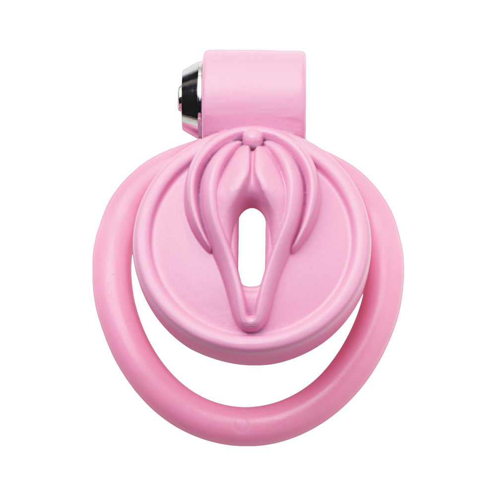MASTER SERIES VULVA LOCKING CHASTITY CAGE