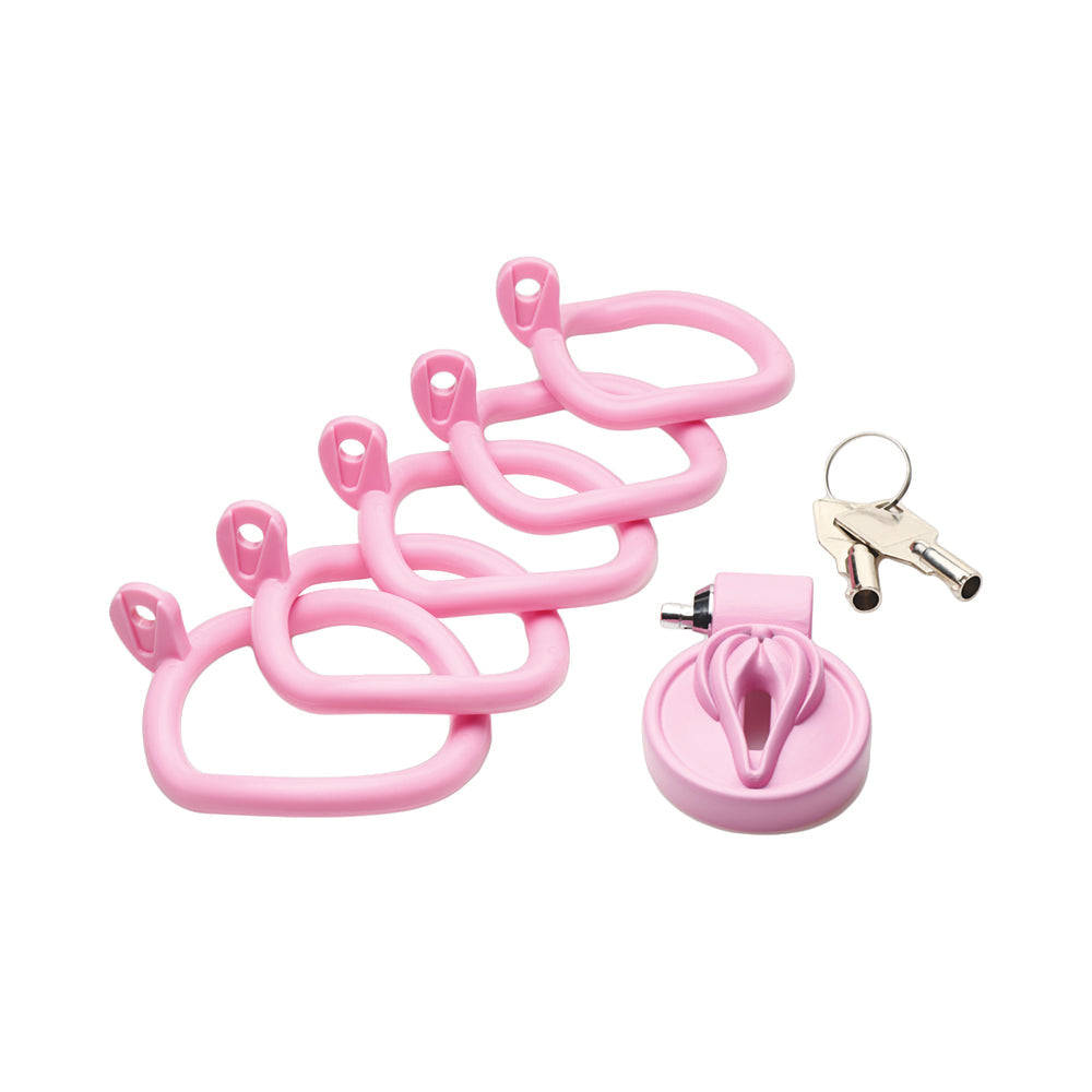 MASTER SERIES VULVA LOCKING CHASTITY CAGE