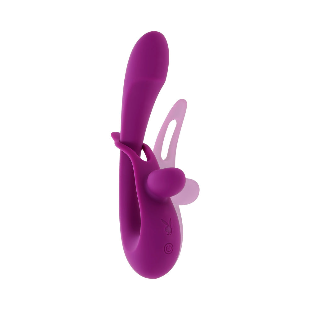 PLAYBOY - CHA CHA SLIDE WILD ASTER