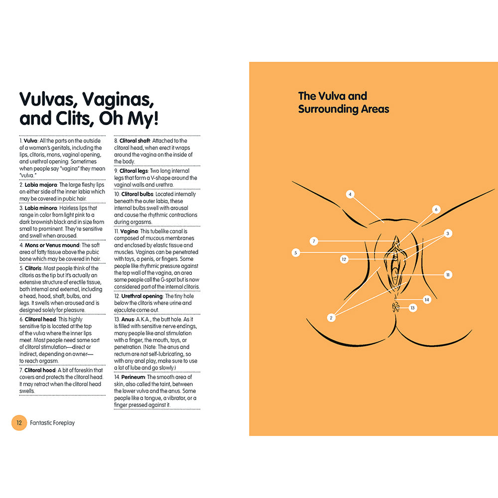 FANTASTIC FOREPLAY: 60 SEXY IDEAS