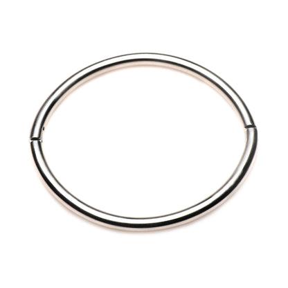 MASTER SERIES POSSESSION STAINLESS STEEL LOCKING COLLAR S