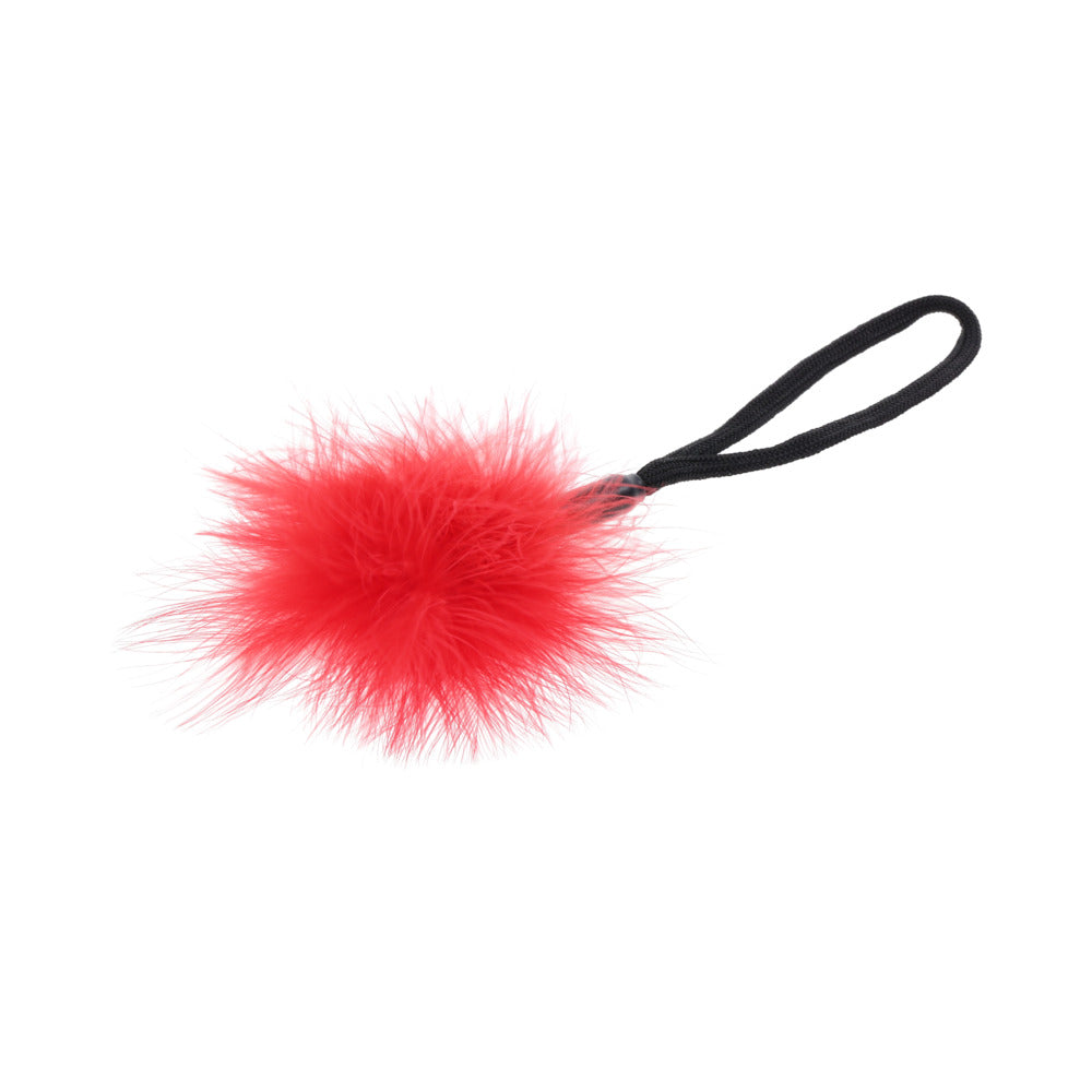 SPORTSHEETS SEX & MISCHIEF EX''S & OH''S KISS KIT