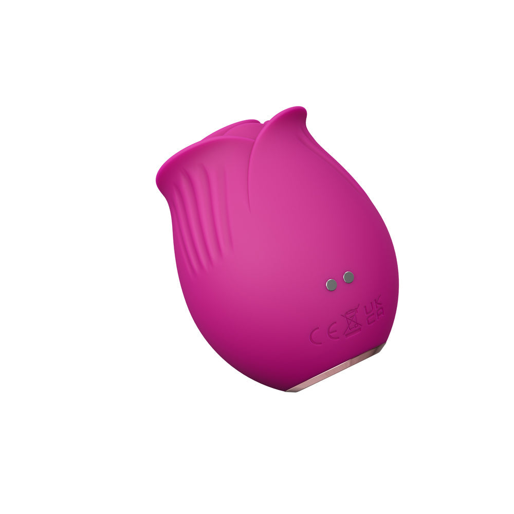 BLUSH COLLECTION THE ORIGINAL BLUSH ROSE VELVET