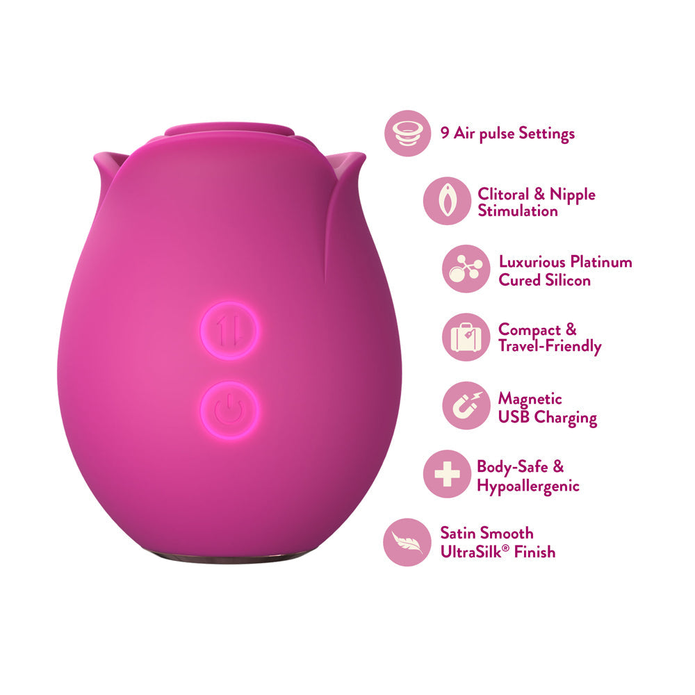 BLUSH COLLECTION THE ORIGINAL BLUSH ROSE VELVET