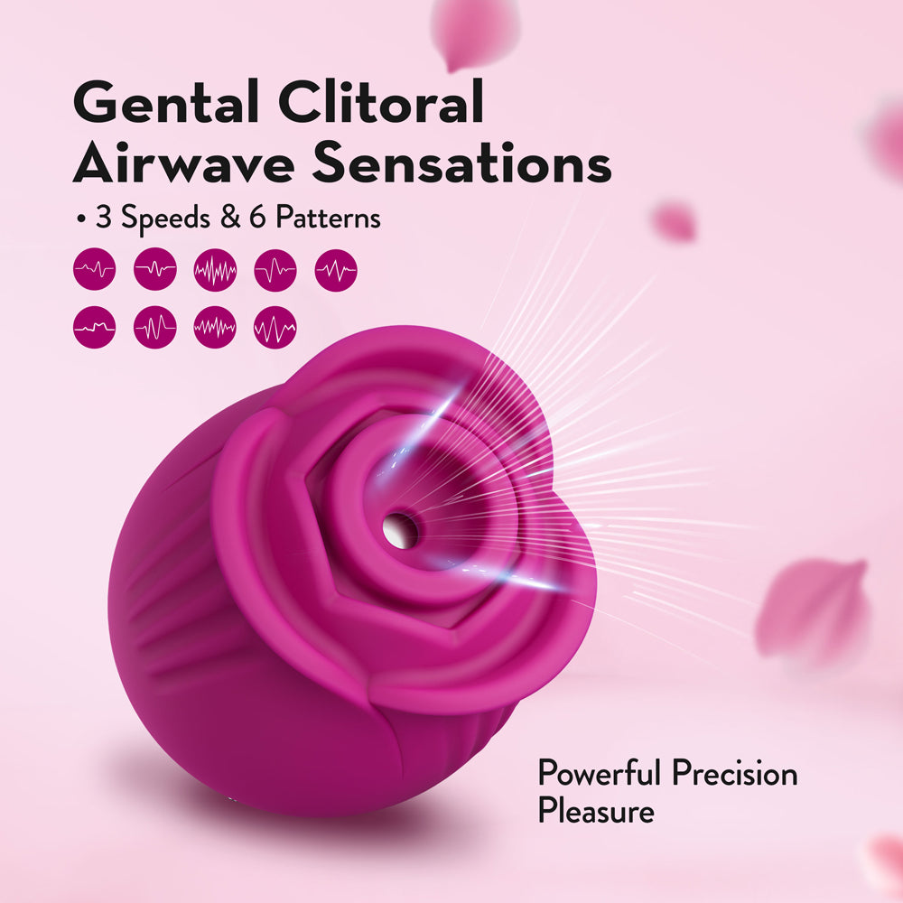 BLUSH COLLECTION THE ORIGINAL BLUSH ROSE VELVET