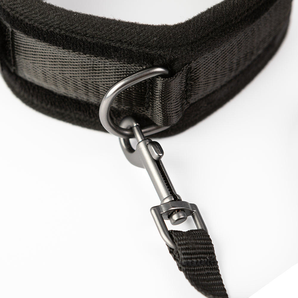 SEI MIO TAKE THE LEAD PADDED NECK COLLAR AND LEASH