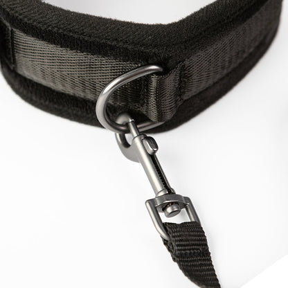 SEI MIO TAKE THE LEAD PADDED NECK COLLAR AND LEASH