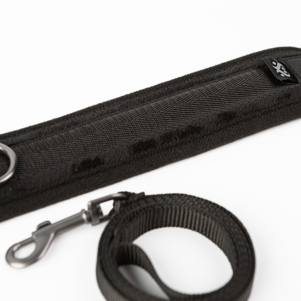 SEI MIO TAKE THE LEAD PADDED NECK COLLAR AND LEASH
