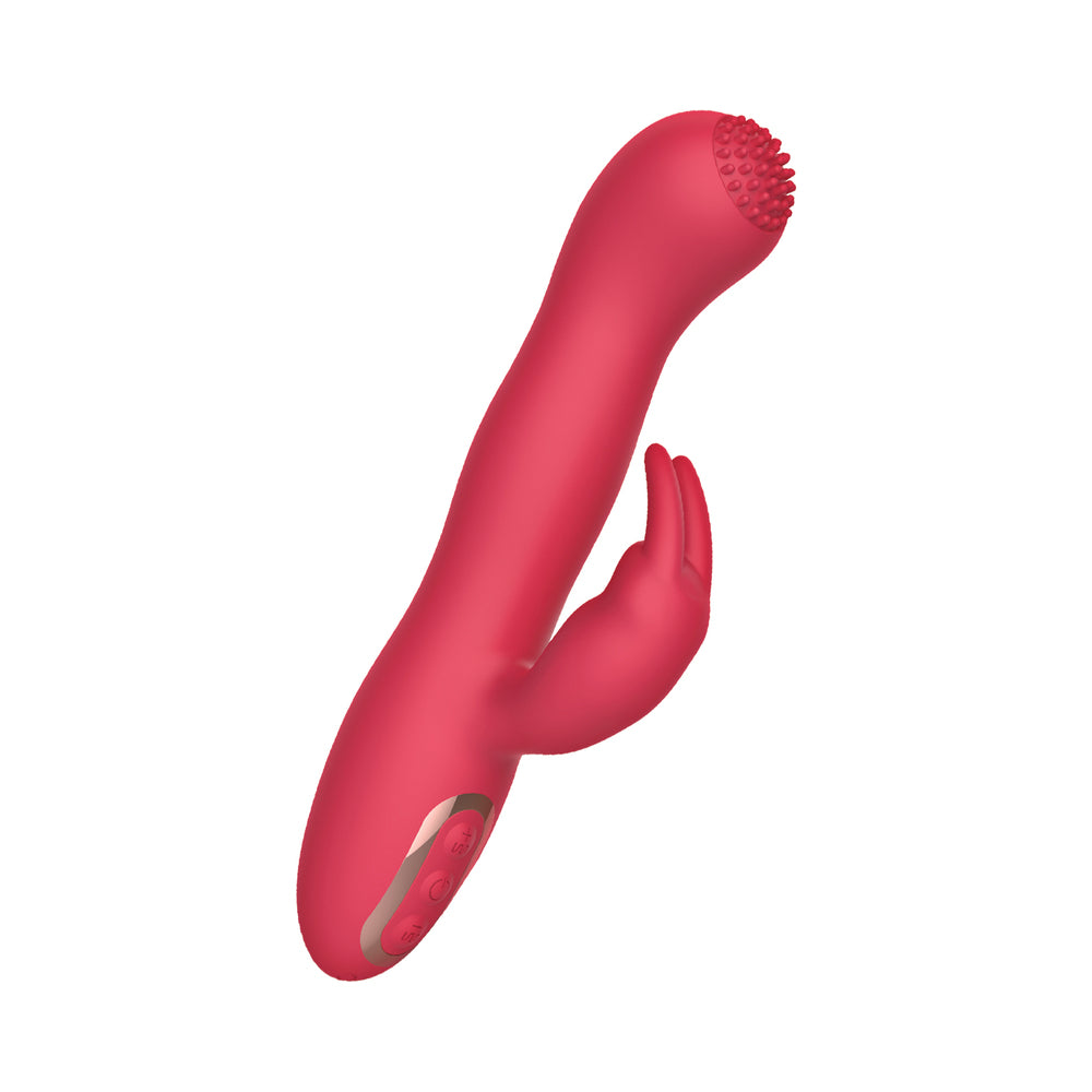 NASSTOYS - MON ÉROTIQUE SECRET
