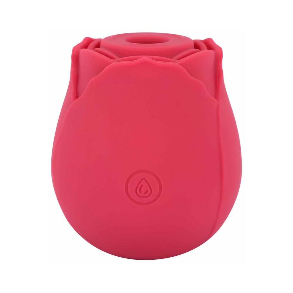 ME YOU US ROSEBUD SILICONE SUCKING VIBRATOR