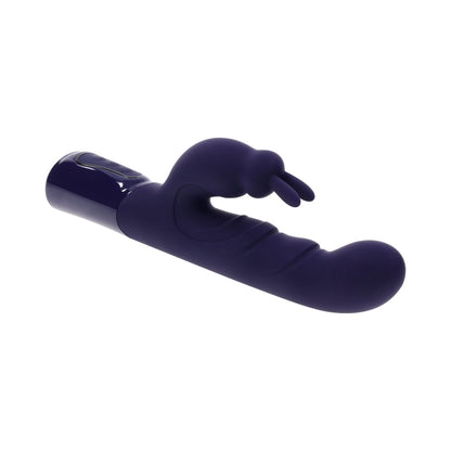 EVOLVED - LA GRAN OFERTA PÚRPURA