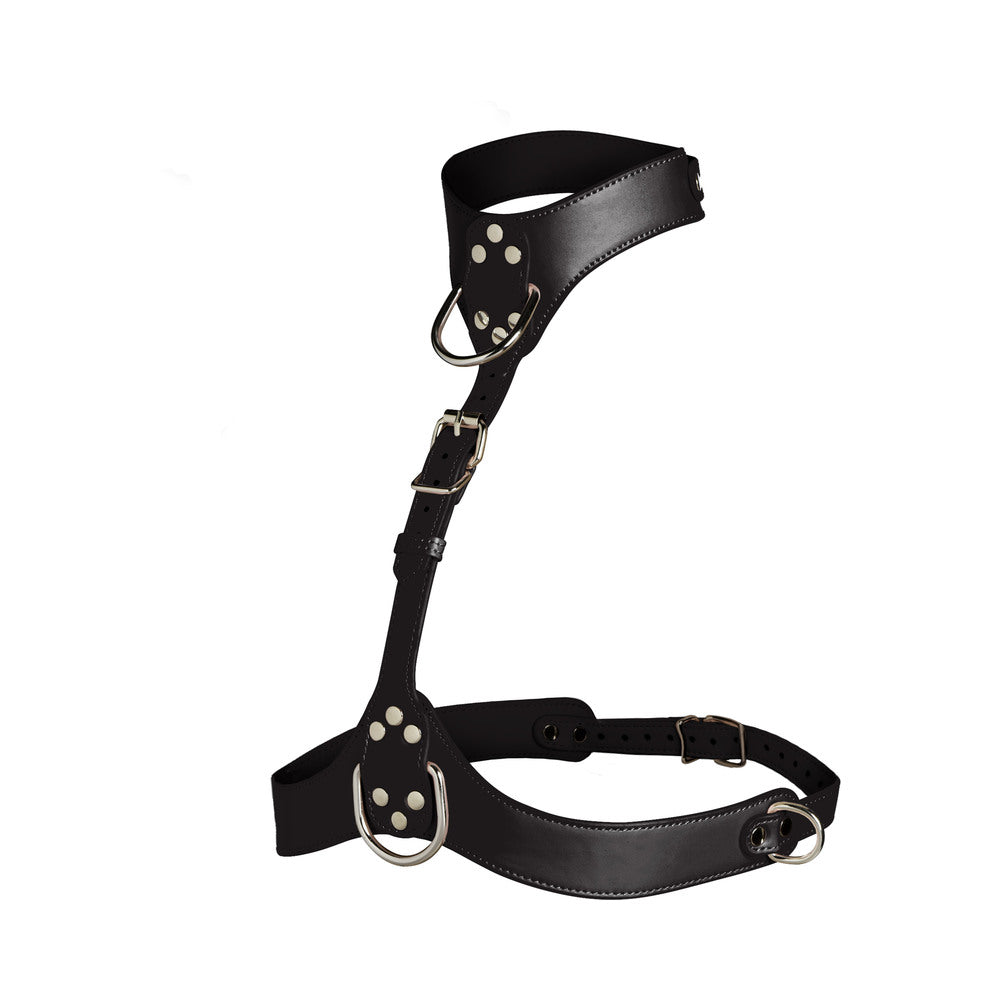 MASTER SERIES VIXEN CHEST HARNESS BLACK