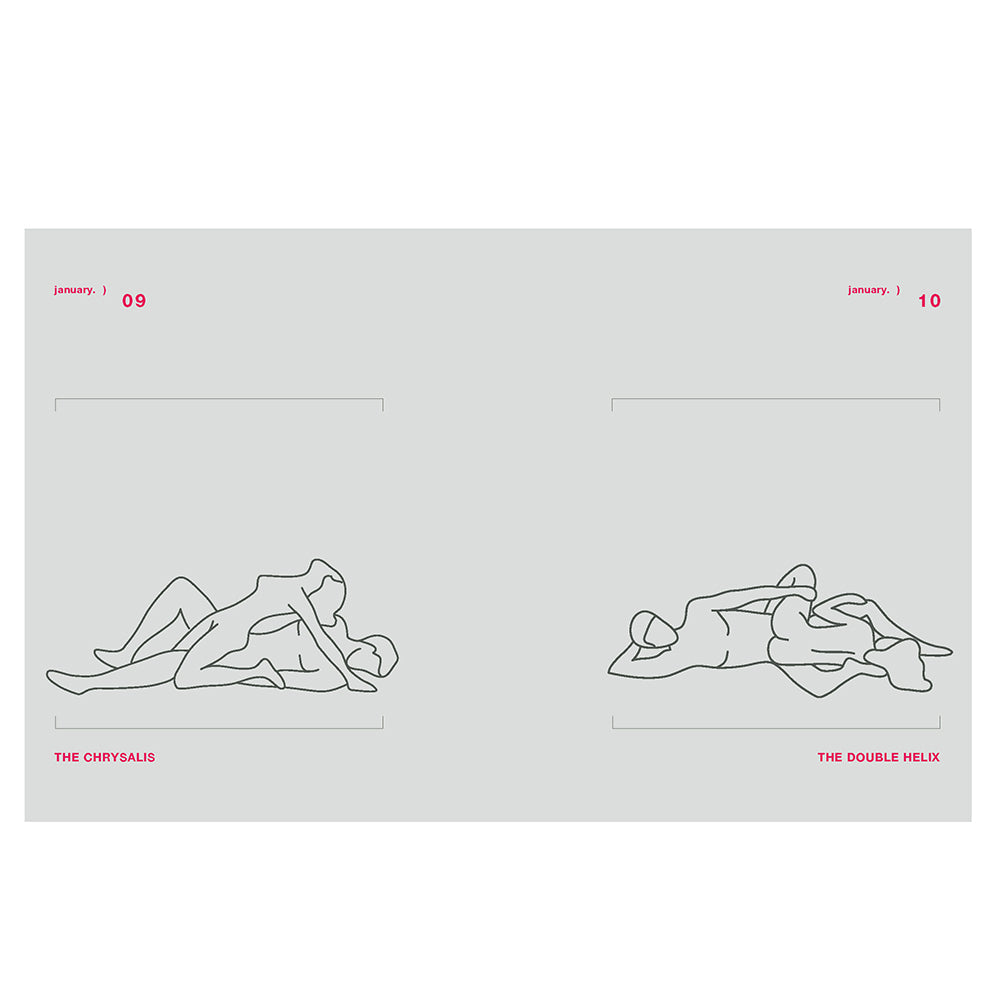 POSITION OF THE DAY REVISED AND UPDATED: SEX EVERY DAY IN EVERY WAY 